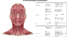 Ротова порожнина та її анатомо-фізіологічні особливості у контексті дефектології Тема: Будова ротової порожнини та її роль у мовленні й дефектологічній роботі