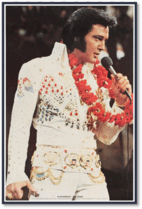 0800x6xx-ef82-142x209.png