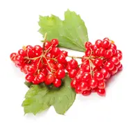 0800x9i3-691c-192x192.webp