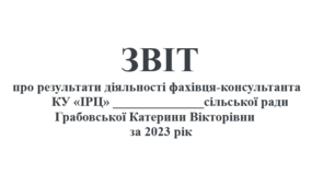 Звіт про результати діяльності фахівця-консультанта "ІРЦ" за рік