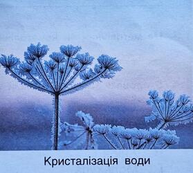 0800xgzw-f1dd-279x250.jpg