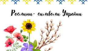 Дидактичний матеріал до теми " Рослини - символи України"