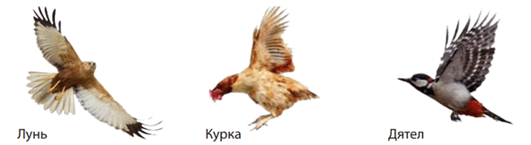 0800xkxu-c233-591x162.png