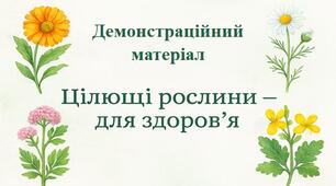 Демонстраційний матеріал «Цілющі рослини - для здоров’я»