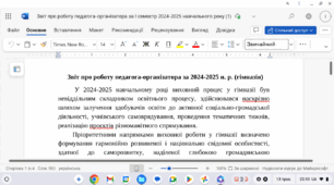 Звіт про роботу педагога-організатора за 2024-2025 н. р. (гімназія)