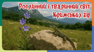 Презентація до уроку ЯДС, 4 клас.  Кримські гори. Рослинний і тваринний світ.