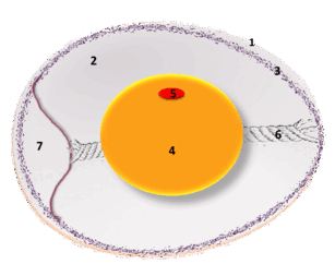 0800xt7j-7b31-307x253.png