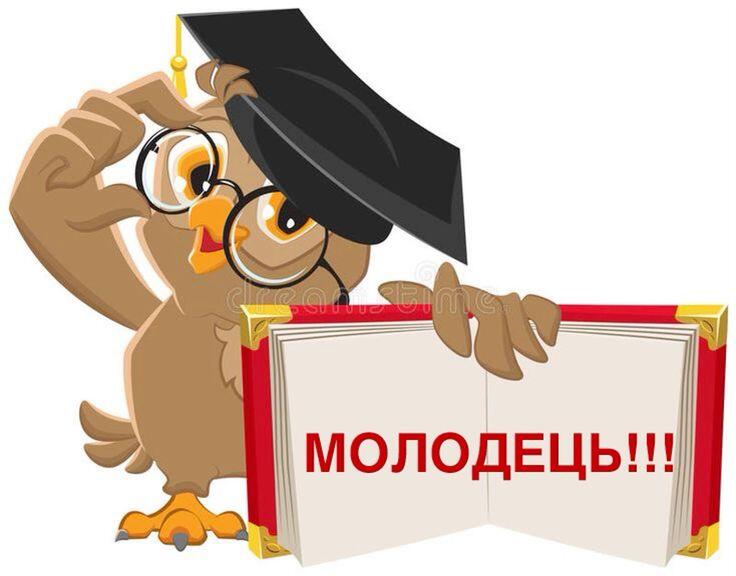0800xzi7-6630-736x576.jpg
