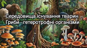 Підсумкова контрольна робота( ГР1, ГР2, ГР3) Середовища існування тварин. Гриби - гетеротрофні організми