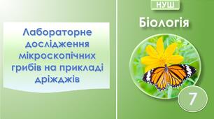 Лабораторне дослідження мікроскопічних грибів (на прикладі дріжджів). Біологія 7 клас НУШ