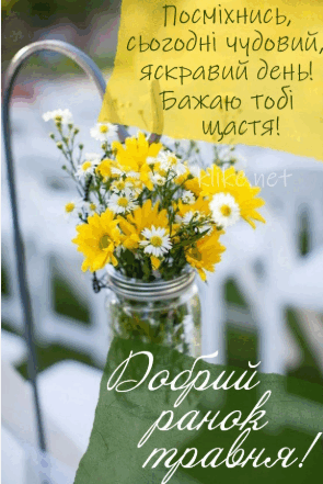 0800ybi0-9918-295x441.png