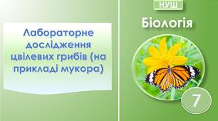 Лабораторне дослідження цвілевих грибів (на прикладі мукора). Біологія 7 клас НУШ