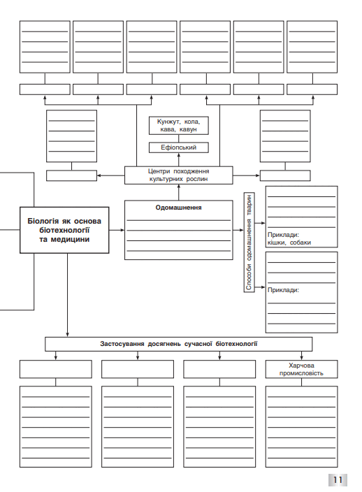 0800yepv-6602-518x704.png
