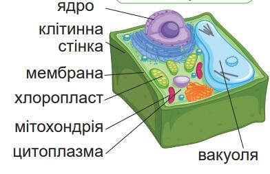 0800yg8l-0b5e-392x253.jpg