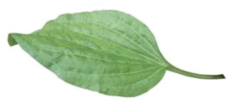 0800yjk3-db70-329x160.png