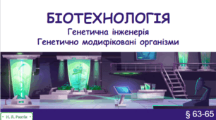 Презентація на тему "Біотехнологія. Генетична інженерія.  Генетично модифіковані організми". 9 клас