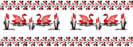 0800ypex-e6b1-187x67.png