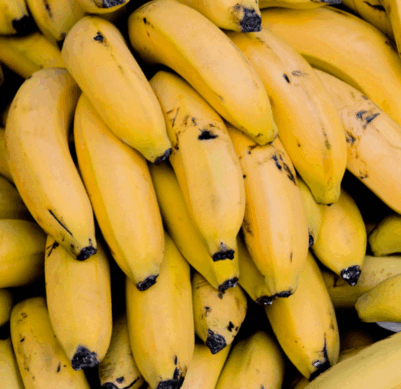 0800ywbk-e2f5-401x389.png