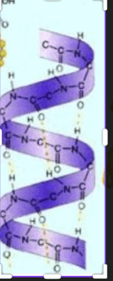 0800yx01-e920-159x395.png