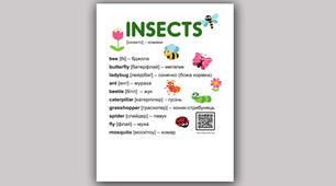 Слова англійською на тему Insects Комахи