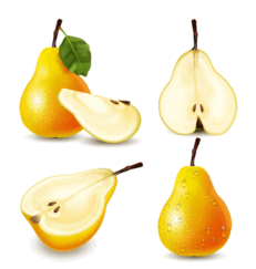0800yzo3-c41b-231x243.png