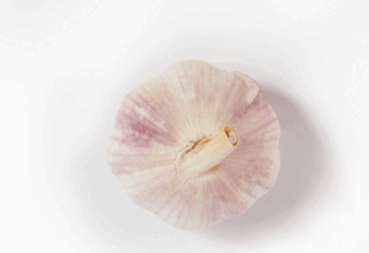 0800yzp6-08c0-338x232.png