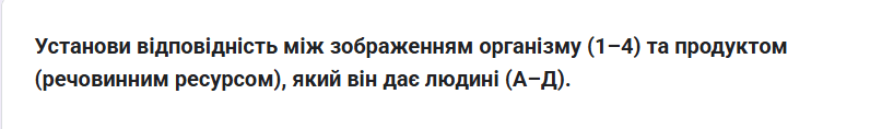 0800yzse-8ae3-796x118.png