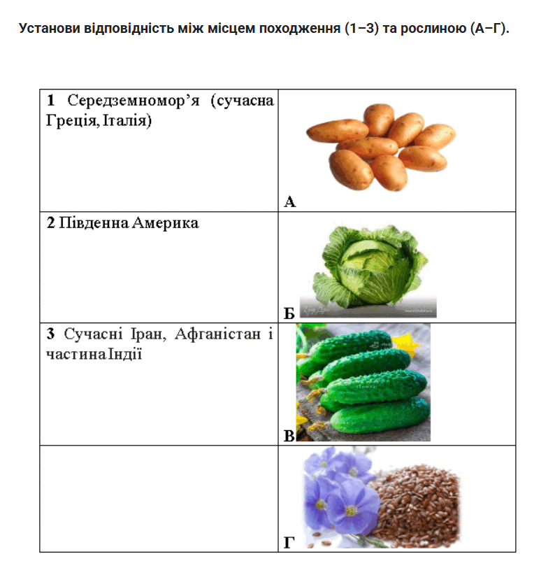 0800yzv6-cdf8-794x822.png