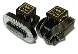 0800z0gv-7026-389x268.png