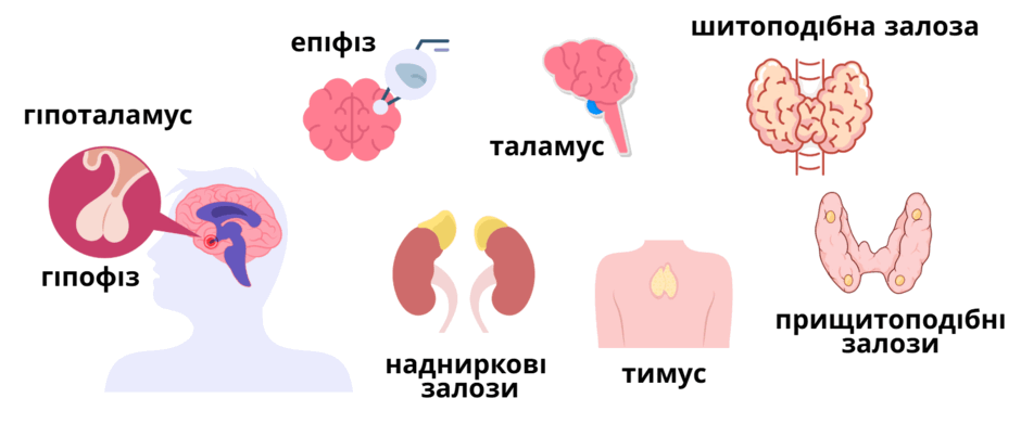 0800z1hl-886e-940x391.png