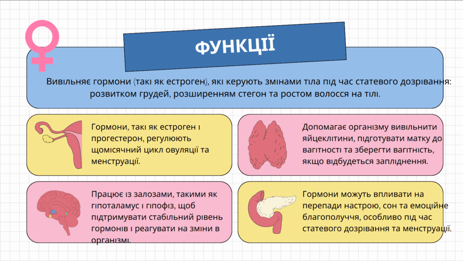 0800z1l6-ab85-940x530.png