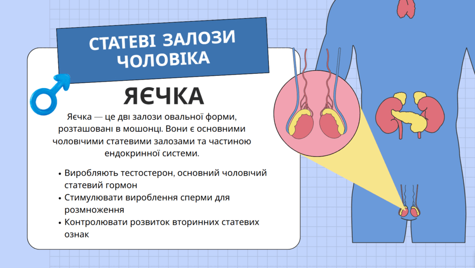 0800z1lq-28f7-940x531.png