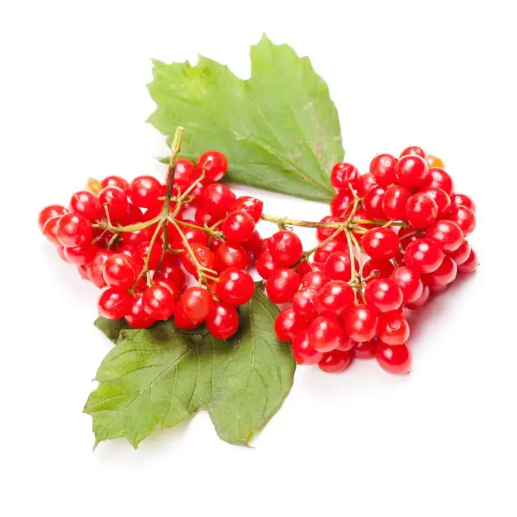 0800z38s-7785-750x750.webp