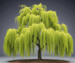 0800z5k7-7f0d-109x92.png