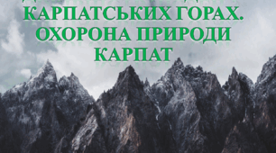 Діяльність людей у Карпатських горах. Охорона природи Карпат