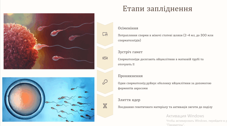 0800zabb-925d-940x520.png