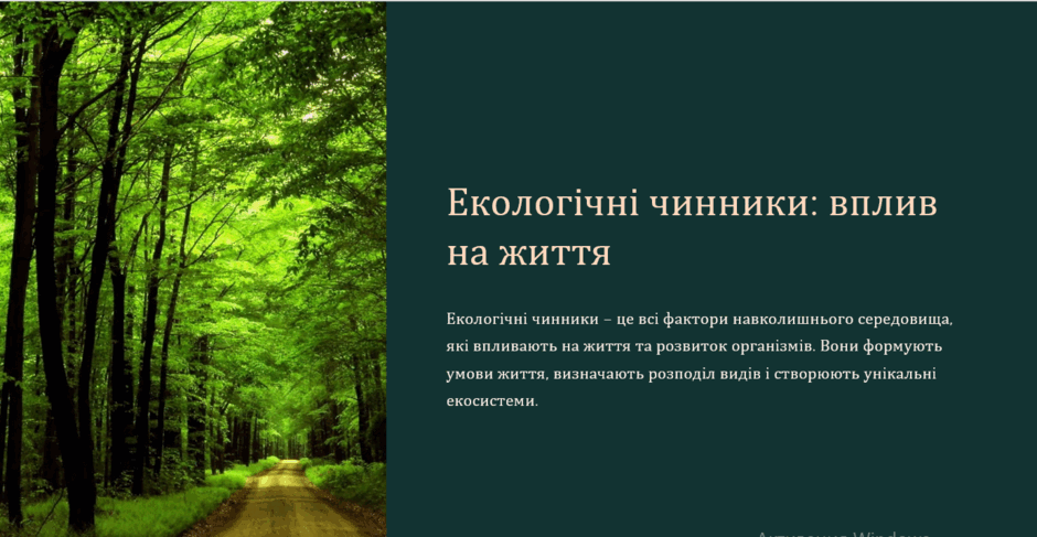 0800zal2-0035-940x487.png