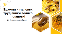 Бджоли — маленькі трудівники великої планети! (До Всесвітнього дня бджіл)