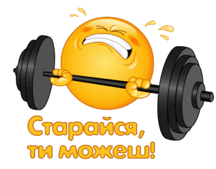 0800zd81-7706-309x242.png