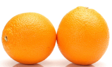 0800zipk-2369-364x218.png