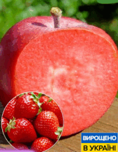 0800ziwy-d581-171x221.png