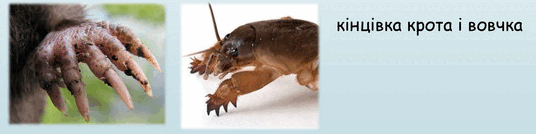 0800zk4d-83db-536x134.png