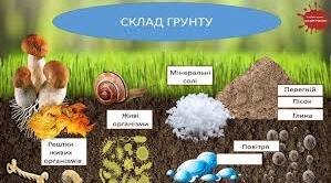 Як утворюється ґрунт (с. 112-116).