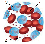0800zpk8-e202-149x146.png