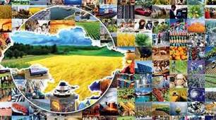 Контрольне тестування з теми "Суспільна географія України"