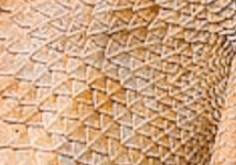 0800ztx5-cf60-214x150.png
