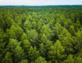 0800zv49-774e-164x126.png