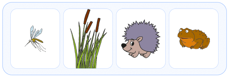 080102iq-6a4a-768x259.png