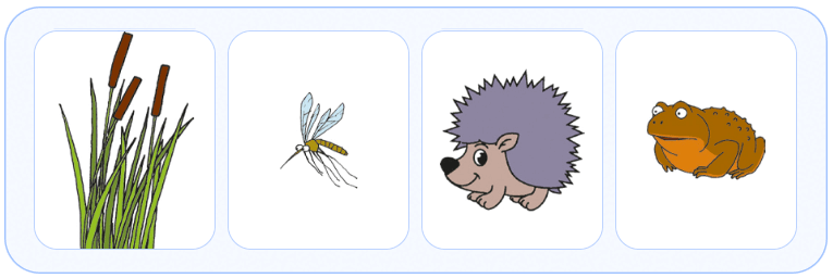 080102iv-2270-765x256.png