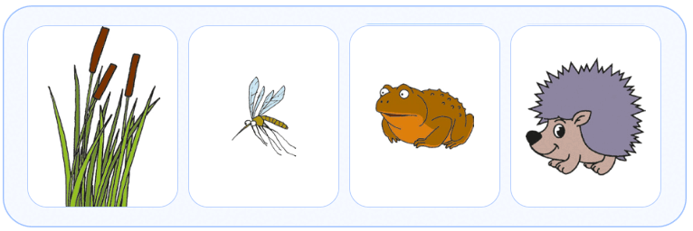 080102iy-f70c-766x256.png